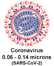 coronavirus